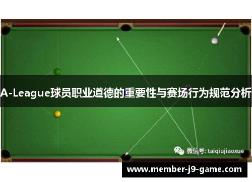 A-League球员职业道德的重要性与赛场行为规范分析