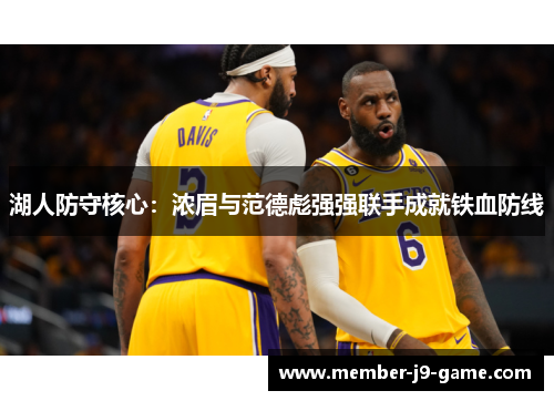 湖人防守核心：浓眉与范德彪强强联手成就铁血防线