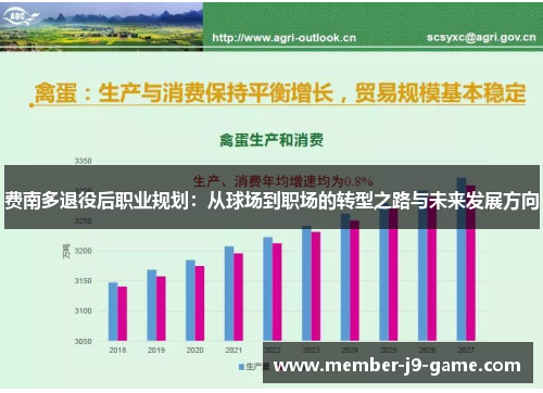 费南多退役后职业规划：从球场到职场的转型之路与未来发展方向