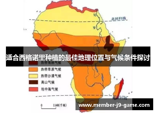 适合西格诺里种植的最佳地理位置与气候条件探讨