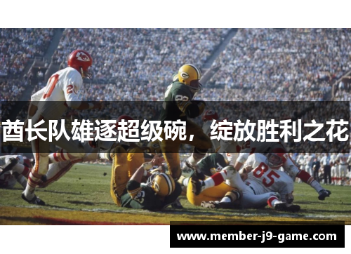 酋长队雄逐超级碗，绽放胜利之花