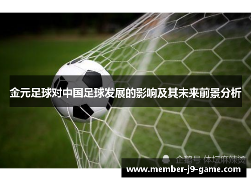 金元足球对中国足球发展的影响及其未来前景分析