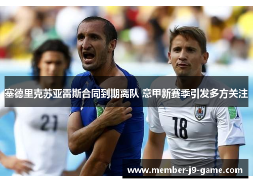 塞德里克苏亚雷斯合同到期离队 意甲新赛季引发多方关注 塞德里克苏亚雷斯合同到期离队 意甲新赛季引发多方关注