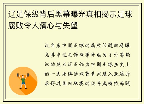 辽足保级背后黑幕曝光真相揭示足球腐败令人痛心与失望